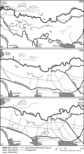 Fig. 4 Drainage system of the River Morava in the Strážnické Pomoraví region in: (a) 1882, (b) 1950, and (c) 2008 according to historical maps and aerial photos.