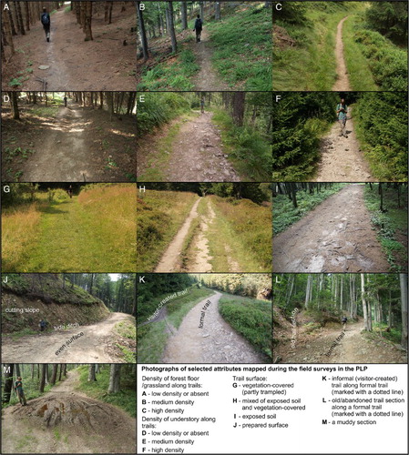 Figure 3. Photographs of selected attributes mapped during the field surveys in the PLP.