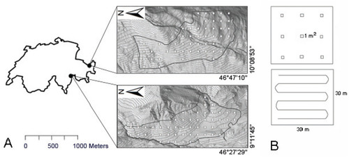 FIGURE 1. (A) The pasture areas in Guarda (top) and Mesocco (bottom) showing the boundaries and the systematically located plots. (B) The sampling design for plants (top) and insects (bottom).