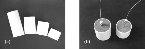 Figure 3 Photos of packed beds of sand used as model media in vacuum cooling experiments: (a) PVC cylinders with the same diameters and different volumes, (b) cylinders filled with moist sand, with thermocouples inserted in the center.