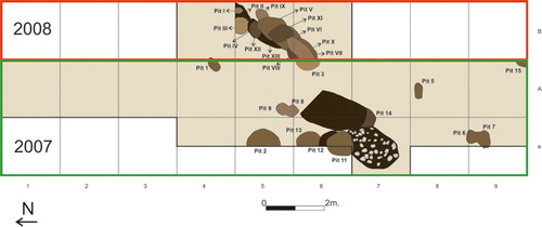 Figure 5. Plan of the 2007–2008 cemetery excavations with indication of the funerary pits (design by J. F. Torres-Martínez, S. Domínguez-Solera, and M. Galeano, Bernorio-IMBEAC Team).