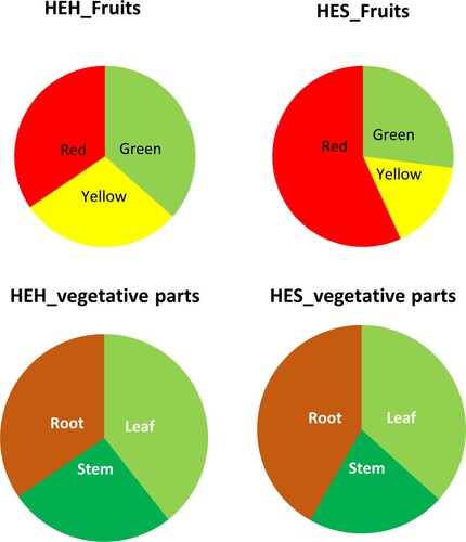 Figure 2. Fresh weight (g/plant) of fruits (green, yellow, and red), leaves, stem, and roots of two green pepper varieties, i.e. Hungarian Enigma Hot (HEH) and Hungarian Enigma Sweet (HES). Different letters on the bars of the one parameter are significant according to the Tukey’s test (P ≤ 0.05). Data are Means ± SD and n = 10.