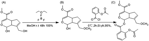 Figure 3. General scheme of synthesis of compound AGE.