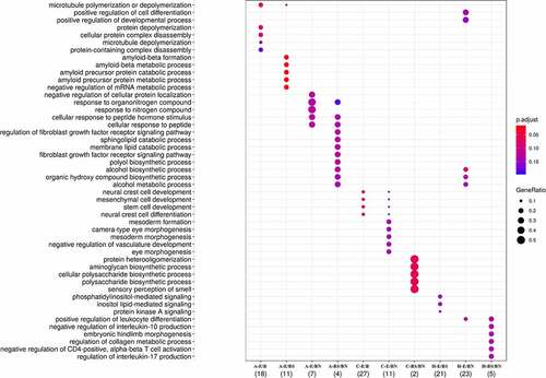 Figure 6. Pathways enriched with DMR-related genes obtained from each contrast employed. The depicted pathways represent those passing FDR ≤ 0.1 threshold.