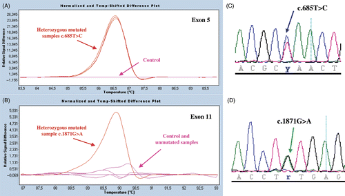 Figure 1. Mutation screening by HRM analysis and direct sequencing of PCR-amplified products. Results are shown for ITGB3 exons 5 and 11 for family members of pat 1. In panels A and B, we illustrate normalized and temperature-shifted melting curves of mutated and control PCR amplicons (Roche Light cycler 480 ResoLight Dye; Roche Diagnostics, Meylan, France) (c.685C > T, Leu196Pro; and c.1871G > A, Cys598Tyr). Control patterns (pink) mutated patterns (red) are clearly distinguished. Whereas the ITGB3 exon 5 substitution was present in all of the family members (see superimposed lines), the propositus was the only family member to possess the exon 11 mutation. In panels C and D are shown the sequencing profiles of respective heterozygous mutated PCR products. Methodological details will be supplied on request.