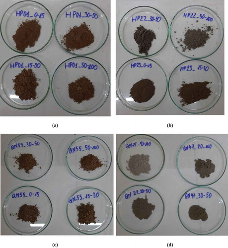 Figure 6. Mangrove soil colors measured at four depths and different locations in the study area