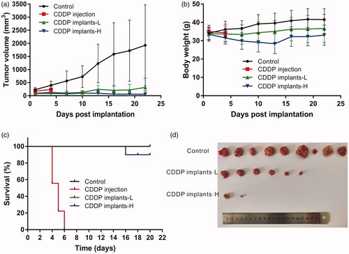 Figure 3. Antitumor efficacy of cisplatin-loaded implants on sarcoma 180 tumor-bearing mice. (a) Tumor growth curve of the sarcoma 180 tumor-bearing mice during the treatment period, (b) The average body weight of mice during the treatment period, (c) Kaplan–Meier curves for survival of sarcoma 180 tumor-bearing mice, (d) Picture of tumors dissected from the mice at the end of experiment.