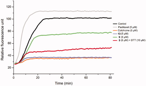 Figure 7. The effect of Deac-SS-Biotin (9) on tubulin polymerisation. The tubulin had been pre-incubated for 1 min with Deac (13) at 5 µM, Deac-SS-Biotin (9) at 5 µM, Deac-SS-Biotin (9) at 5 µM and DTT at 10 µM, Deac (13) at 5 µM, Colchicine at 5 µM, Paclitaxel at 5 µM or vehicle DMSO at room temperature before GTP was added to start the tubulin polymerisation reactions. The reaction was monitored at 37 °C.