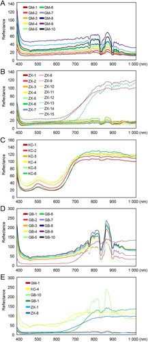 Figure 12. Microspectrophotometry spectra of 10 types of black photosensitive stamp-pad ink (A), 15 types of black gel ink (B), six types of black erasable gel ink (C), 10 brands of black fountain pen ink (D), and six types of representative ink (E) on printing paper.