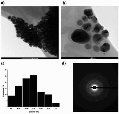 Figure 2. Transmission electron microscope (TEM) images of AgNPs synthetized with B. globosa extracts; (a) a random field view of AgNPs (scale bar representing 100 nm), (b) a high magnification image of spherical AgNPs (scale bar representing 20 nm), (c) a histogram of diameter size distribution of AgNPs (n = 100) with an average diameter of 16 nm, and (d) Electron diffraction pattern (SAED) from multiple silver NPs.