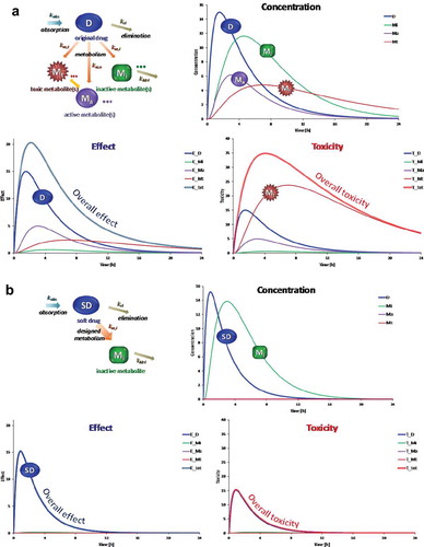 Figure 1. Illustration of the effects that metabolites have on the overall effect and toxicity of therapeutic agents. (a) Case of a hypothetical drug (D) that is metabolized into active, toxic, and inactive metabolites (Ma, Mt, and Mi, respectively). Corresponding time-profiles for concentrations, effects, and toxicities (arbitrary units) are shown for all components assuming that D is metabolized with different rates into these metabolites and they all have different elimination rates as well as activities and toxicities. For the case shown here, most of the effect is contributed by the original drug D and its active metabolite Ma, but most of the toxicity results from the toxic metabolite Mt. (b) Same for a hypothetical soft drug (SD) that is metabolized rapidly into a single inactive metabolite Mi of negligible activity and toxicity. Contrary to A, both activity and toxicity are driven only by those of the original SD even if Mi concentrations are quite high. Hence, complex PK profiles and toxicities due to reactive metabolites are avoided, and activity and toxicity can be better controlled. Time-profiles were obtained using single-compartment models with absorption, metabolism, and elimination rate constants (kabs, km,a, kel, etc.) and corresponding differential equations as indicated. All effects and toxicities were assumed to be directly proportional with concentrations (i.e. no effect compartment).