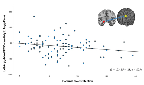Figure 6. Association between adolescent-reported paternal overprotection and left amygdala-MPFC connectivity to angry faces.