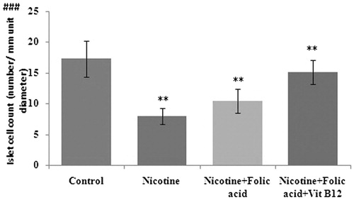 Figure 7. Effect of folic acid (36 µg/kg body weight/d for 21 d) and folic acid + vitamin B12 (0.63 µg/kg body weight/d for 21 d) on nicotine (3 mg/kg body weight/d for 21 d)-induced changes in islet cell count (no. per unit diameter). Significance level based on the Kruskal–Wallis test (p < 0.001)###. Control versus nicotine, p < 0.01**; nicotine versus nicotine + folic acid, p < 0.01**; nicotine versus folic acid + vitamin B12, p < 0.01**.