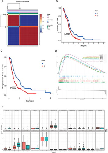 Figure 2. Biological characteristics of different clusters in TCGA-GBM patients. (A) Consensus matrix of TCGA-GBM patients by non-negative matrix factorization. (B) Overall survival analyses for different clusters. (C) Progression free survival analyses for different clusters. (D) Gene set enrichment analysis for different clusters.