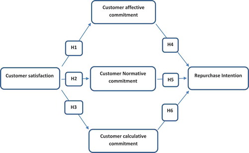 Figure 1. Conceptual model of the study