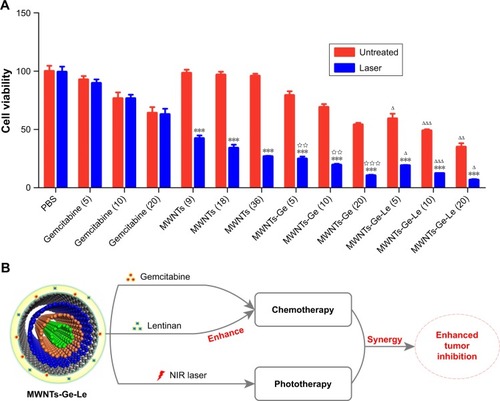 Figure 4 The cell viabilities of Mcf-7 cells incubated with gemcitabine, MWNTs, MWNTs-Ge and MWNTs-Ge-Le under NIR irradiation were established via MTT assay (A) and schematic illustration of the chemo-photothermal combined cancer therapy under 808 nm NIR laser irradiation of MWNTs-Ge-Le composite (B).Notes: Gemcitabine (5), MWNTs-Ge (5) and MWNTs-Ge-Le (5) had the same concentration of gemcitabine (5 μg·mL−1). Gemcitabine (10), MWNTs-Ge (10) and MWNTs-Ge-Le (10) had the same concentration of gemcitabine (10 μg·mL−1). Gemcitabine (20), MWNTs-Ge (20) and MWNTs-Ge-Le (20) had the same concentration of gemcitabine (20 μg·mL−1). The NIR irradiation power density was 2 W·cm−2 (5 min). The bars are presented as the mean ± SEM (unpaired t-test; ***P<0.001 compared with without NIR irradiation; ΔP<0.05, ΔΔP<0.01 and ΔΔΔP<0.001 compared with the relative MWNTs-Ge-treated group; ⋆⋆P<0.01 and ⋆⋆⋆P<0.001 compared with the relative MWNTs and gemcitabine treated groups).Abbreviations: Mcf-7, Michigan cancer foundation-7; MWNTs, multiwalled carbon nanotubes; MWNTs-Ge, multiwalled carbon nanotubes/gemcitabine; MWNTs-Ge-Le, multiwalled carbon nanotubes/gemcitabine/lentinan; MTT, 3-(4,5-dimethylthiazol-2-yl)-2,5-diphenyltetrazolium bromide; NIR, near-infrared; PBS, phosphate-buffered solution; SEM, standard error of the mean.