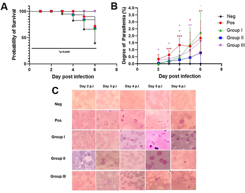 Figure 1 Survival of mice following infection and parasitemia degree. (A) Survival curves were analyzed by log-rank (Mantel–Cox) test showed significant difference among groups (p = 0.04). The mortality of mice began to increase on the fifth day p.i, while in group I and group II, the mortality of mice increased on day 4 p.i. Group III, which was treated with L. casei and B. longum, showed 100% survival rate. (B) The peripheral parasitemia (%) from day 2 to day 8 p.i. was analyzed by One-way ANOVA with Tukey post hoc test; *p < 0.05, **p < 0.01, ***p < 0.001. (C) The morphology of Plasmodium stage from peripheral mice blood.