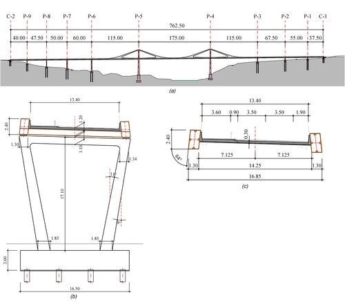 Fig. 5: Competition entry (Dr Lüchinger + Meyer Bauingenieure AG – Zürich; CESMA Ingenieros SL – Madrid; Ilg Santer Architekten – Zürich): (a) longitudinal section; (b) bridge pier P-8; (c) superstructure cross-section (Units: m)