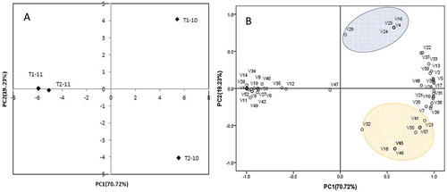 Figure 2. Distribution of wine samples and loadings of volatile compounds in the first two PCs of volatile compounds. T1-10 Rain-shelter cultivation wine in vintage 2010; T2-10: Open-air cultivation wine in vintage 2010. T1-11: Rain-shelter cultivation wine in vintage 2011. T2-11: Open-air cultivation wine in vintage 2011. V1-V57: The volatile compounds in Table 4 from 1-hexanol to butylated hydroxytoluene in order.