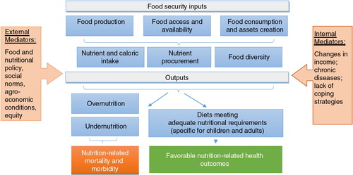 Fig. 1 Analytic framework of food security and nutrition in Russia.