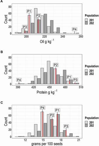 Figure 1. Frequency histograms for the distribution of (A) seed oil (g/Kg−1), (B) seed protein (g/Kg−1), and (C) seed weight (grams per 100 seeds) of 180 RILs of LMN09-119 (P1) x N09-09 (P2) (Pop 201) and 170 RILs of LMN09-19 (P3) x N13-47 (P4) (Pop 202). Measurements are averaged over three environments from the Central Crops Research Station in Clayton, NC, the Tidewater Research Station in Plymouth, NC, and the Caswell Research Farm in Kinston, NC