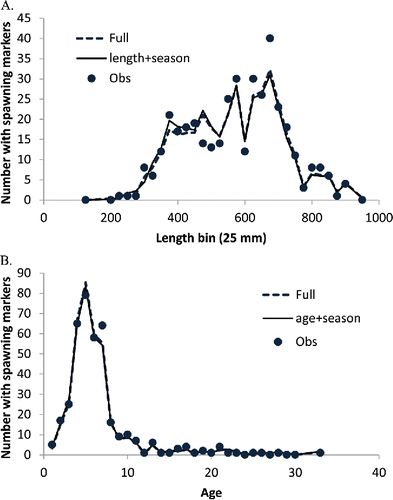 FIGURE 2. Observed number of Red Snapper with spawning markers compared with the corresponding predictions of the final model (length + season, or age + season) and full model (all covariates included). Panels show the results for (A) length and (B) age.