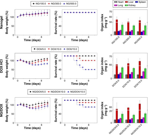 Figure 3 Percent body weights, survival rates, and organ indices in MTD detections.Notes: Percent body weights, survival rates, and organ indices of Kunming mice after disposable intravenous injection of NG at doses of 100.0 mg (kg BW)−1, 300.0 mg (kg BW)−1, and 500.0 mg (kg BW)−1, and DOX·HCl and NG/DOX at equivalent DOX·HCl doses of 5.0 mg (kg BW)−1, 10.0 mg (kg BW)−1, and 15.0 mg (kg BW)−1. The statistical data are presented as a mean ± SD.Abbreviations: BW, body weight; DOX, doxorubicin; DOX·HCl, doxorubicin hydrochloride; MTD, maximum tolerated dose; NG, nanogel; NG/DOX, DOX-loaded nanogel; SD, standard deviation.