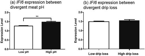Figure 3. Expression level of IFI6 gene between divergent phenotypic groups. qRT-PCR analysis of IFI6 gene expression from (a) low pH24h vs high pH24h and (b) low vs high drip loss groups (n = 5 per group) in pigs. GAPDH (Glyceraldehyde-3-Phosphate Dehydrogenase) was used as a reference gene for the normalisation of transcripts. The bars represent the mean ± SE. *p < 0.05 and **p < 0.01 denote statistically significant difference.