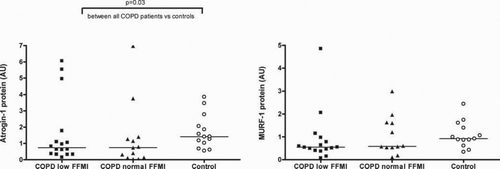 Figure 1.  Box plots of atrogin-1 and MuRF-1 protein levels in COPD patients with and without a low FFMI and healthy age-matched controls. Atrogin-1 protein levels in quadriceps muscle were lower in COPD patients than controls [0.64(0.31,1.24)AU vs 1.41(0.68,2.06)AU, p = 0.03, A] but not significantly different in COPD patients with a reduced FFMI compared to patients with a normal [0.73(0.34,1.61)AU vs 0.74(0.12,1.34)AU, p = 0.46, A]. There was a subset of COPD patients with relatively high protein levels of these mediators compared to the controls but these patients were not confined to the low FFMI group. MuRF-1 protein levels were not significantly different in quadriceps muscle from COPD patients compared to controls [0.56(0.45,1.30)AU vs 0.92(0.74,1.50)AU, p = 0.12, B], nor between COPD patients with and without a low FFMI [0.55(0.42,0.92)AU vs 0.59(0.54,1.62)AU, p = 0.35, B].