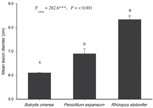 Fig. 1 Pathogenicity of three fungal pathogens on peaches estimated by measurement of lesion diameter (cm) at 27 ± 2°C after 7 days of incubation. The F value represents the result of a one-way ANOVA. Different letters indicate significant differences in the means at LSD (P < 0.05). Bars represent the standard error (n = 10).