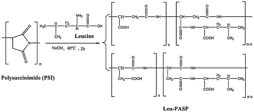 Figure 2. Synthesis route of leucine of polyaspartic acid (Leu-PASP).