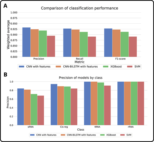 Figure 5. Comparative performance analysis of our proposed architectures against traditional machine learning classification models (SVM and XGBoost), considering the best configurations obtained. (a) Performance comparison of the algorithms using the weighted average of metrics such as precision, recall, and F1-score. The results show consistency throughout the metrics and better performance for CNN with external features. (b) Performance comparison by class using the precision obtained with the algorithms. Even though classes such as rRNA seem to be classified effortlessly, there are clear improvements in precision in classes such as sRNA and cis-regulatory elements.