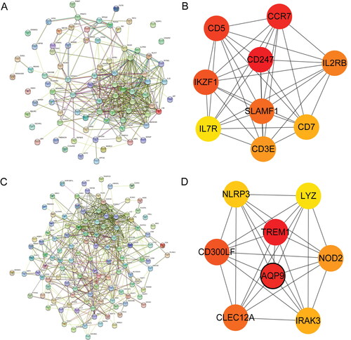 Figure 3. PPI networks of 81 hypermethylated-low expression genes and 121 hypomethylated-high expression genes. (a) PPI network of 81 hypermethylated-low expression genes; (b) PPI network of 9 hypermethylated-low expression genes; (c) PPI network of 121 hypomethylated-high expression genes; (d) PPI network of 8 hypomethylated-high expression genes.