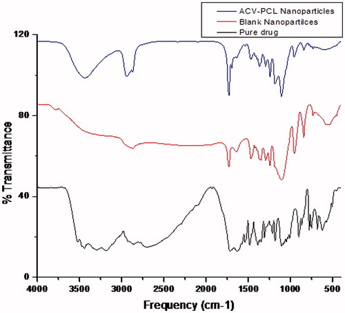Figure 6. Comparison of FTIR spectra of ACV-PCL nanoparticles with pure drug and blank nanoparticles.