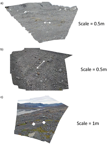 Figure 5. Orthophotographs of the flute areas: (a) Site 1a (image looking towards the north east); (b) Site 1b (image looking towards the south east); (c) Site 4 (image looking towards the north east) (the scale is marked by the scale bar in the approximate centre of the image).
