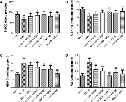 Figure 9 Radical-scavenging activity of 3d in vivo after I/R in ischemic cerebral cortex.