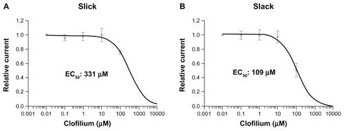 Figure 2 Dose response of Slack and Slick channels upon treatment with clofilium. Oocytes expressing Slick (A) or Slack (B) channels were exposed to different concentrations of clofilium (0.01–100 μM). K+ currents were measured at the end of depolarizing steps of a pulse protocol (500 msec depolarizations from −80 to +80 mV, holding potential −80 mV for 3 seconds). Inhibition curves upon application of increasing doses of clofilium for Slick (A) and Slack (B) expressing oocytes have IC50 values shown together.