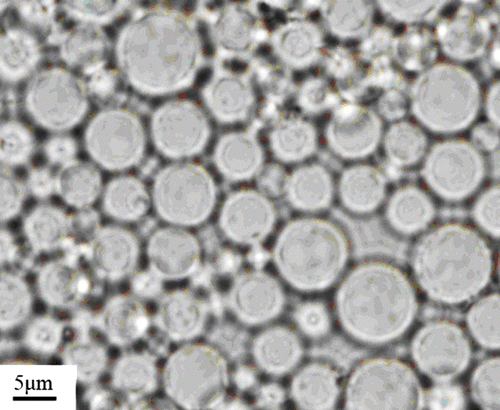 Figure 1 Micrographs of the dispersed particles.