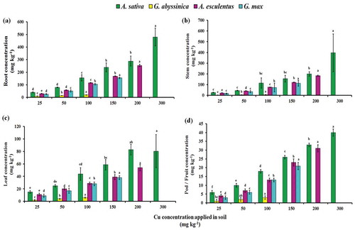 Figure 2. Cu concentrations in root (a), stem (b), leaf (c), and pod/fruit (d) of four plant species after 12 weeks of growth in soil contaminated with varying concentrations of applied Cu. Bars with the similar letters are statistically non-significant according to Duncan’s multiple range test (p < 0.05), Data are means (n = 3 ± SD), a in superscript represent significantly highest followed by later alphabets for lower means