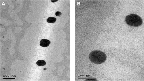 Figure 2 Transmission electron micrographs of NP2 (A) and NP6 (B).