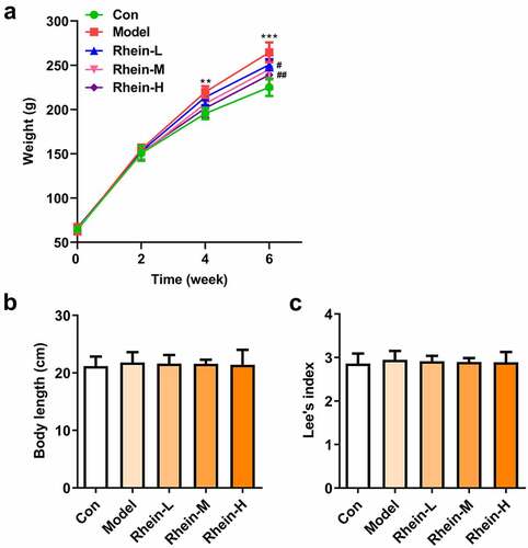 Figure 1. Effects of rhein on body weight and size of rat. The rats of different groups received the following treatment for six weeks, respectively. normal chow, high-fat diet (HFD) (D12492, 60% kcal%, research diets, USA), high-fat diet +Rhein-L (lose dose), high-fat diet (60% kcal%) + Rhein-M (medium dose), high-fat diet (60% kcal%) +Rhein-H (high dose). (a) Growth curve of mice in each group. (b) The body length after rhein administration for 6 weeks. (c) Lee’s index. n = 6 rats/group. HFD, high-fat diet-fed rats. **p < 0.01, ***p < 0.001 versus control. #p < 0.05, ##p < 0.01 versus HFD