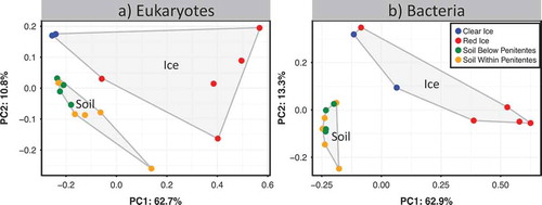 Figure 3. Cluster diagram-based PCoA plot using weighted Unifrac of eukaryotes (a) and bacteria (b). Both eukaryotic and bacterial soil communities and ice communities are significantly different from each other (18S ADONIS p < .001, R2 = 0.63; 16S ADONIS p < .001, R2 = 0.46). Polygons surround total soil and total ice communities in both figures.