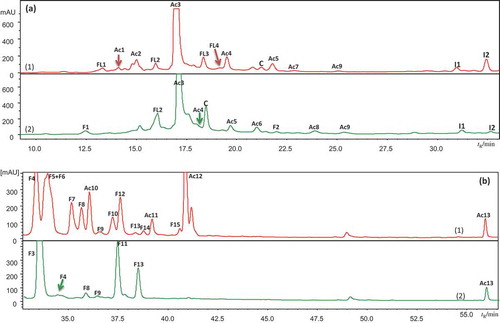 Figure 2. HPLC/DAD chromatograms of leaf extract of (1) bilberry (in red) and (2) bog bilberry (in green): (a) 280 nm, (b) 360 nm.Ac1–Ac13 for hydroxycinnamic acid derivatives, F1–F15 for flavonols, FL1–FL5 for flavan-3-ols, S1–S2 for stilbenes, I1–I2 for iridoids, and C for cinchonain. Peak assignments as in Table 2