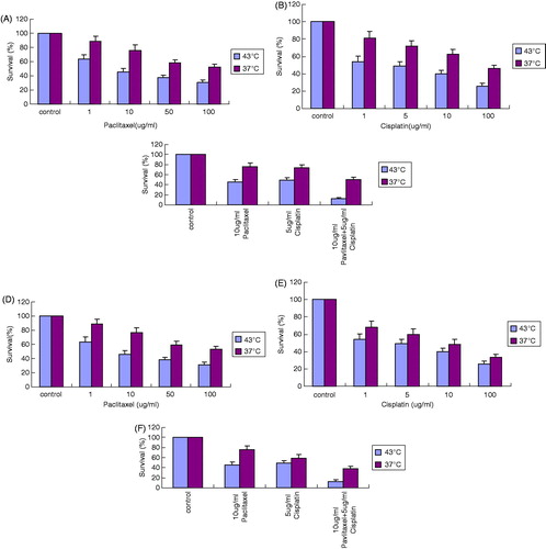 Figure 1. The inhibition effect on OS732 and MG63 cell lines at 43 °C for 1 h measured by MTT. (A) The survival rate of OS732 with different concentration of paclitaxel. (B) The survival rate of OS732 with different concentration of cisplatin. (C) The survival rate of OS732 with combination of 10 μg/mL paclitaxel and 5 μg/mL cisplatin. (D) The survival rate of MG63 with different concentration of paclitaxel. (E) The survival rate of MG63 with different concentration of cisplatin. (F) The survival rate of MG63 with combination of 10 μg/mL paclitaxel and 5 μg/mL cisplatin.