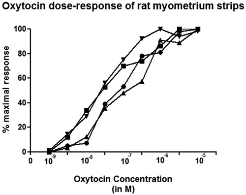 Figure 2. The cumulative contractile effects of oxytocin in rat uterine smooth muscle strips in isolated in-vitro organ bath. Each line represents the individual responses of four different uterine smooth muscle strip in four experiments.