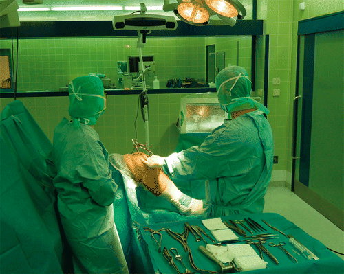 Figure 1. Set-up of the navigation system in the operating theater. A navigated TKA of the right knee is being performed. Note the display positioned off to the side of the operation site.