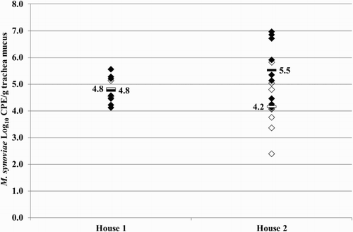 Figure 5. Quantitative results of the differentiating M. synoviae qPCR performed on trachea swabs of birds from houses 1 and 2 of the broiler breeder production farm K. Field M. synoviae (◊), MS-H (♦) and mean quantitative results for field M. synoviae (□) and MS-H (▪) are indicated.