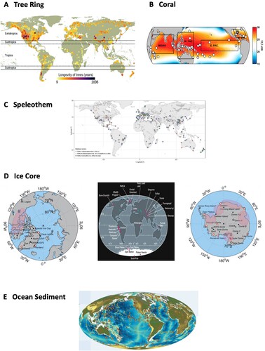 Fig. 4 Current status of the paleoclimate proxy networks. (A) Tree ring (Locosselli et al., Citation2020). (B) Coral (Tierney et al., Citation2015). (C) Speleothem (Comas-Bru et al., Citation2020). (D) Ice core (Jouzel, Citation2013 and the OSU Ice Core Group). (E) Ocean sediment (National Research Council, Citation2011).