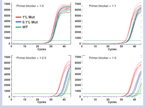 Figure 2.  Titration experiment of the primer:blocker ratio from 1:0 to 1:5 of the KRAS G12S assay.The separation of cycle of threshold (Ct) between 0.1% (blue curves) mutant and WT (green curves) reactions grows as blocker ratio increases. All the curves were acquired in a single run with eight replicates per case per sample. With the blocker titration result at a small scale as shown, another set of tests was run with a larger number of replicates with the two best performing blocker ratios to pick the best ratio. For the example of G12S assay shown above, only 1:2.5 and 1:5 ratios were run again with twice the number of replicates, which led to selecting the blocker ratio of 1:5 (data not shown). The primer to blocker ratios of the other three assays were optimized following the same procedure described above and the best ratios were determined to be 1:1, 1:2.5, and 1:2.5 for KRAS G12C, KRAS G12V and BRAF V600E assays, respectively.WT: Wild-type.