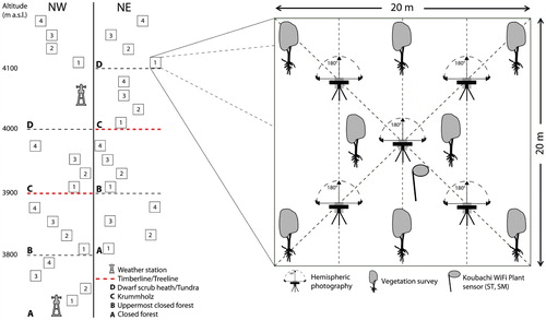 FIGURE 2. Experimental design. Schematic illustration of the two different altitudinal transects (NE = northeast exposition, NW = northwest exposition) including four experimental plots (20 m × 20 m), respectively, in each altitudinal zone (A, B, C, D). Plot design (right) is equivalent on each plot. Koubachi Wi-Fi plant sensors are available on both transects.